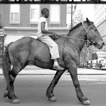 Another crude thumbnail of an image from Vivian Maier. Please go look at more of her work 